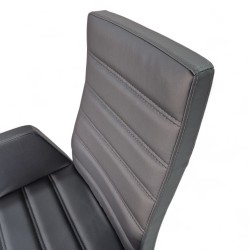 Asie Président Exécutif