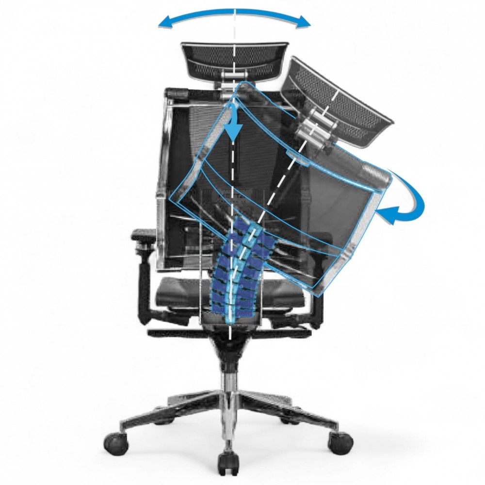 Chaise De Bureau Ergonomique Et Chaise De Direction Orthopédique