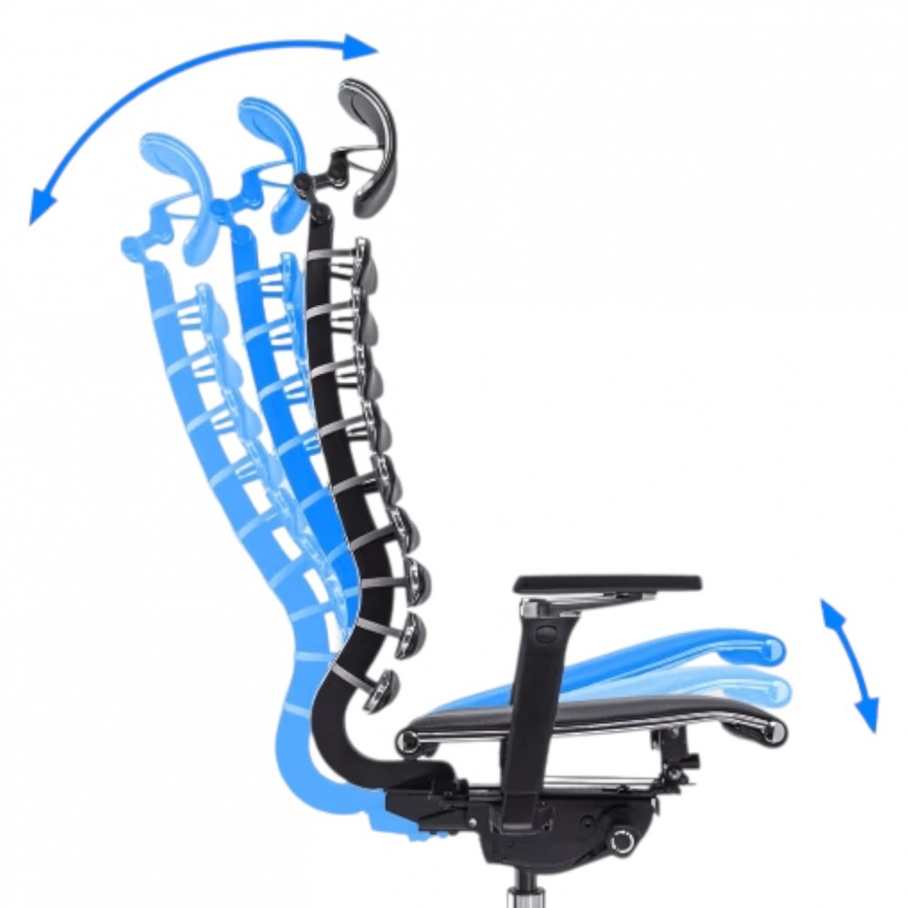 Fauteuil De Direction Anatomique Equalizer À Structure Métallique