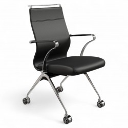 Deux Chaises De Salle De Réunion De Bureau