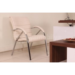 Équipe De Direction Canberra Victory Noyer