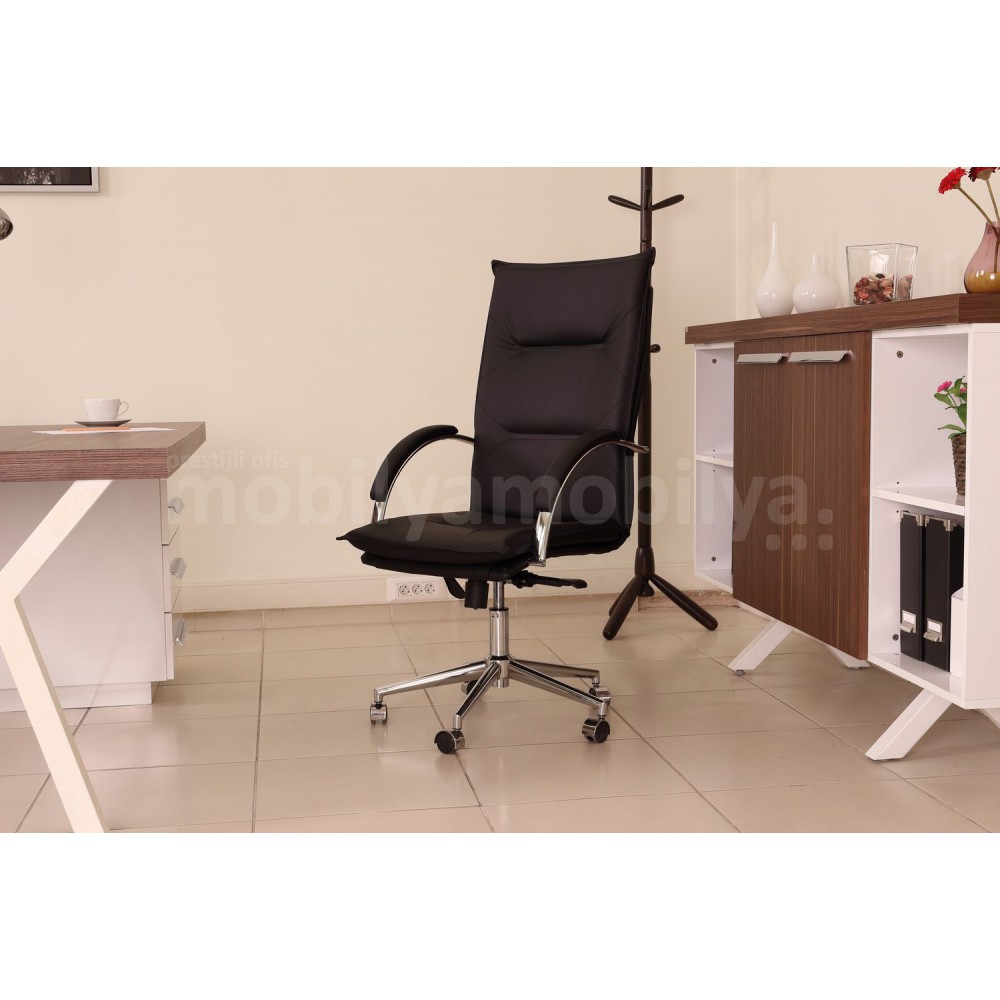 Équipe De Direction Canberra Victory Noyer