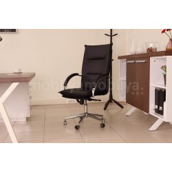 Équipe De Direction Canberra Victory Noyer