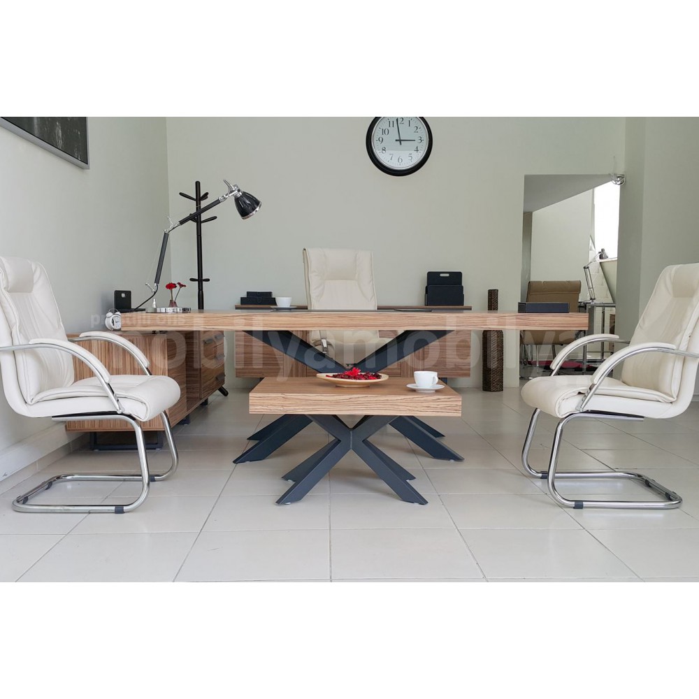 Bureau Exécutif Lexus Équipe