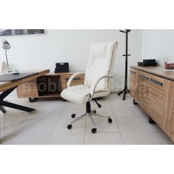 Bureau Exécutif Lexus Équipe