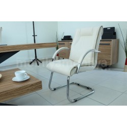 Bureau Exécutif Lexus Équipe