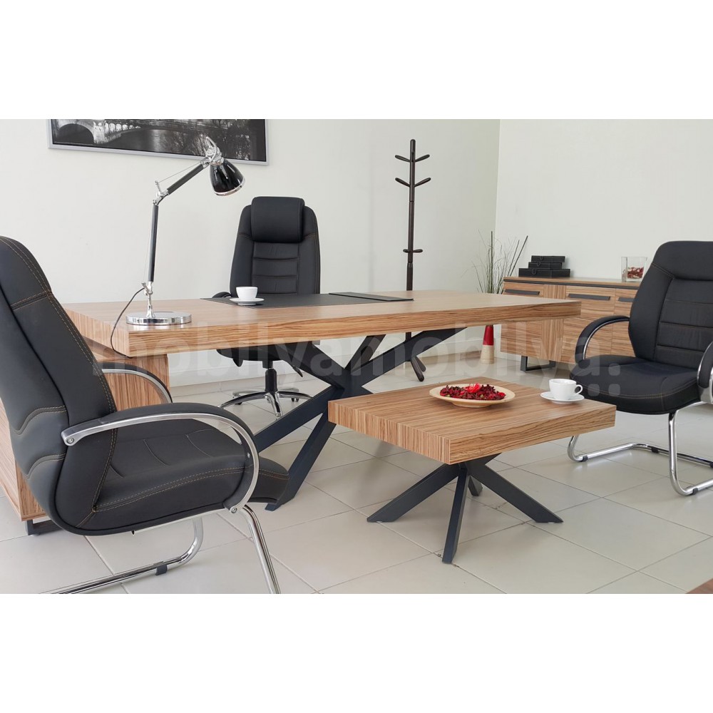 Bureau Exécutif Lexus Équipe