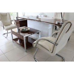 Bureau D'Istanbul Executive Team Porsche Terre Hg. Noyer